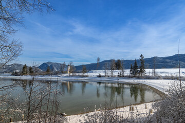 Winterliche Ruhe am spiegelnden See