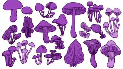 Enthralling Purple Mushroom Illustrations: A Collection of Detailed Line Drawings