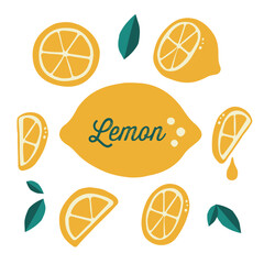 フレッシュかわいい手描きのレモンのイラストセット