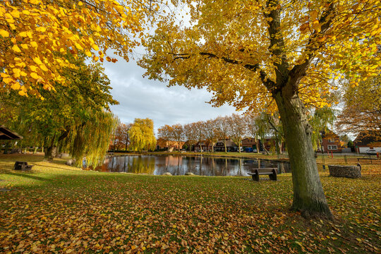 Petersdorf auf Fehmarn im Herbst mit leuchtenden Herbstfarben