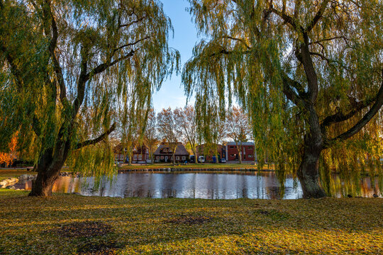 Petersdorf auf Fehmarn im Herbst mit leuchtenden Herbstfarben