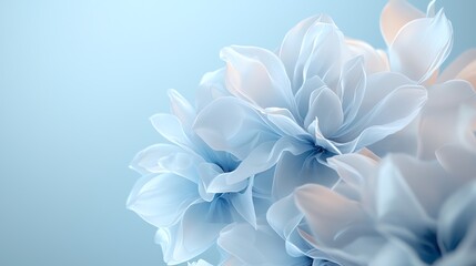 Fototapeta premium Delicate pale blue flowers in soft focus, evoking tranquility and elegance against a serene background.