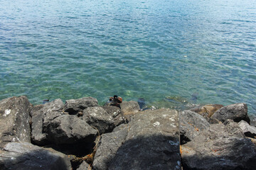 Panorama of town of Montreux, Canton of Vaud, Switzerland