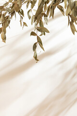 Vertical blank warm lighting background. Blank wallpaper with leaf foreground. White and Wooden surface. Light and Shadow wallpaper. Space for text. Backdrop. Studio photography. Sunshine. Elegant.
