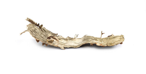 Isolated piece of birch bark on the white. Bark of birch wooden background.