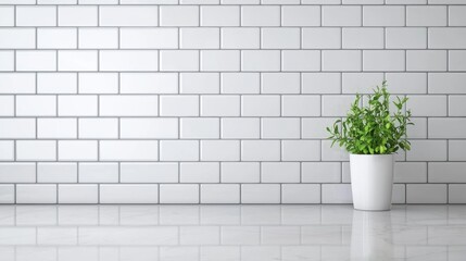 Green plant in white pot on marble counter with white brick wall background. Minimalist interior design.