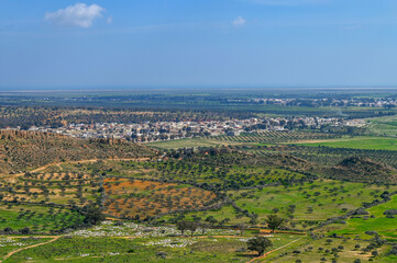 Paysage de Tunisie