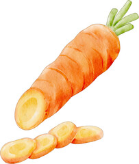 watercolor carrot