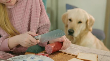 Golden Retriever intently watching a girl slice sausage, eagerly anticipating a taste with a hopeful expression.