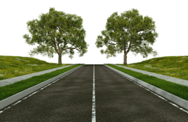 3d render road in meadow and big tree on transparent background