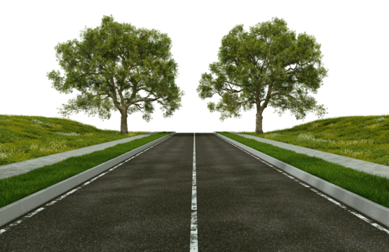 3d render road in meadow and big tree on transparent background