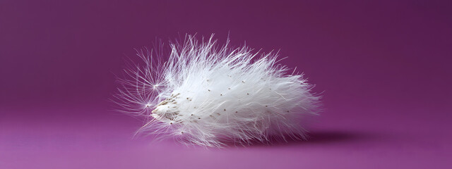 A close-up of the delicate seeds on top, symbolizing hope and new beginnings
