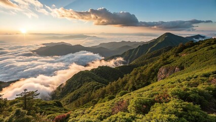 Best and Unique Wallpaper for pc, windows 10, windows 11 etc.