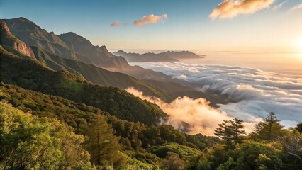 Best and Unique Wallpaper for pc, windows 10, windows 11 etc.