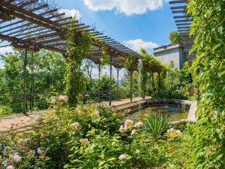 Fountain and blooming roses in the symmetrically designed terraced garden of Wernigerode Castle, Saxony-Anhalt. Cultural attractions of Germany.