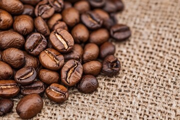Fototapeta premium Roasted coffee beans on burlap sack. Close up. Concept of coffee, freshness, and aroma.