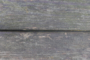 The board is painted orange, close-up. Wood texture. Natural wood background. Old wooden panel,...