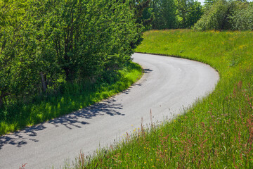 Straße auf dem Land mit Deich im Grünen, Buxtehude, Niedersachsen, Deutschland