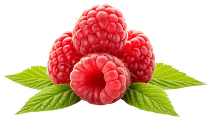 Fresh, vibrant red raspberries with bright green leaves isolated on white background. Suitable for marketing or business purposes. PNG file