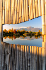 Natural Frame in Torbiere del Sebino natural reserve in Brescia province in Autumn season, Lombardy district, Italy.