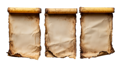 Three Vintage Scrolls, Aged Paper, Rustic Antique Documents