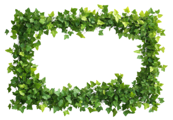  Green plants rectangle frame border, white background PNG transparent.