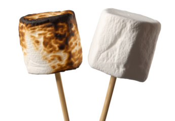 Two marshmallows on sticks, one is charred and the other plain white, transparent background, PNG