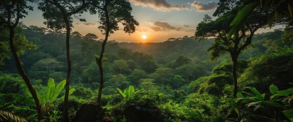 Obraz premium Serene Jungle Landscape at Sunrise with Lush Green Foliage and Tranquil Atmosphere Ideal for Nature-Themed Projects and Text Placement