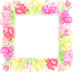 Hand drawn watercolor colorful tulips with green leaves frame border. Illustration of flowers isolated on white background. Can be used for postcard, invitation, scrapbook and other printed products.