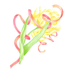 Hand drawn watercolor peony like yellow tulip with red ribbon. Illustration of spring flower isolated on white background. Can be used for postcard, label, scrapbook and other printed products.