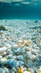White sandy beaches strewn with seashells, starfish, and small fish swimming in the light yellow waves