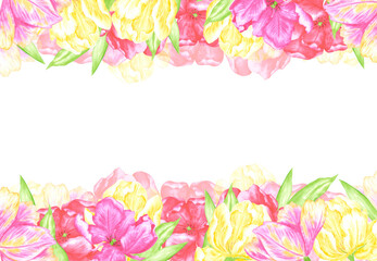Obraz premium Hand drawn watercolor colorful tulips with green leaves frame border. Illustration of flowers isolated on white background. Can be used for postcard, invitation, scrapbook and other printed products.