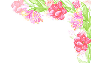 Hand drawn watercolor colorful tulips with green leaves frame border. Illustration of flowers isolated on white background. Can be used for postcard, invitation, scrapbook and other printed products.