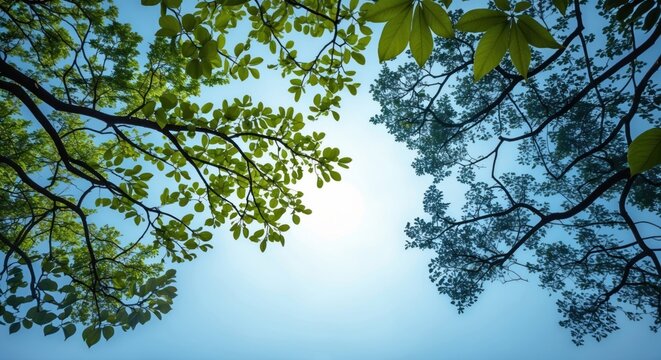 Nature's silhouette featuring lush tree branches and vibrant green leaves against a serene blue sky background creating a peaceful atmosphere.