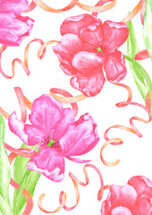 Fototapeta premium Hand drawn watercolor tulips with green leaves and ribbons postcard. Illustration of flowers isolated on white background. Can be used for postcard, invitation, poster and other printed products.