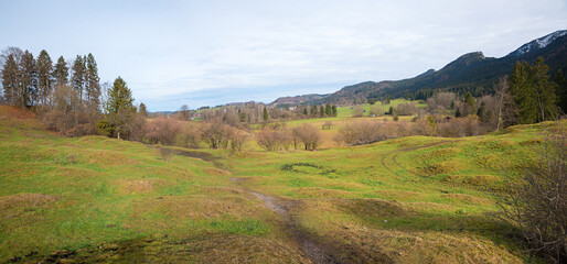 Obraz premium hilly landscape of Buckelwiesen near Ohlstadt, upper bavaria. hummocky meadow