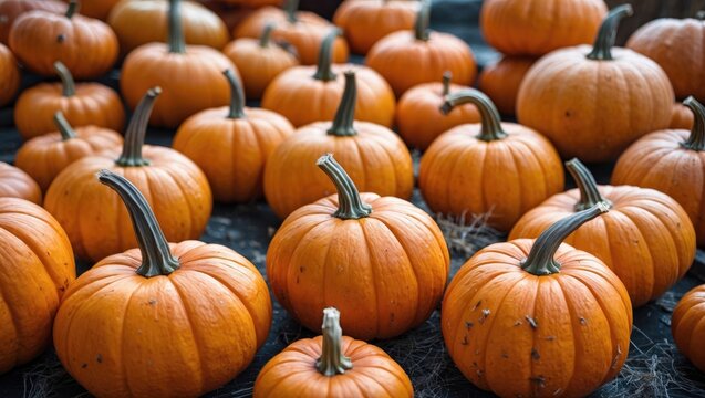 Vibrant display of small orange pumpkins ideal for Halloween decorations and autumn festivities on a rustic market setting. - Powered by Adobe