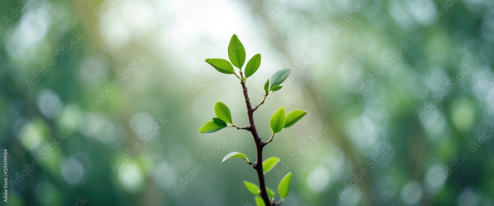 Poster Abstract Macro Photography of a Green Twig with Leaves Against a Blurred Background Featuring Shallow Depth of Field and Copy Space