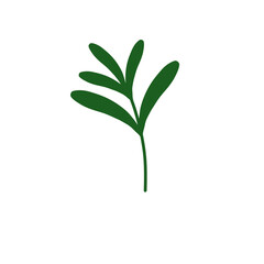 Green elegant foliage illustration graphic art