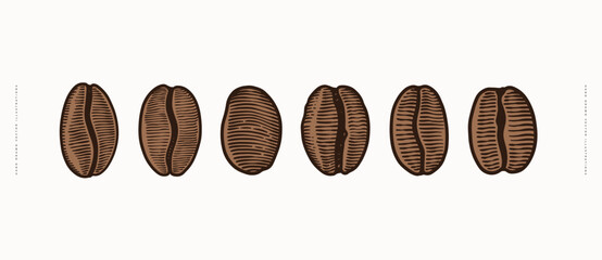 Set of roasted coffee beans in engraving style. The fruits of exotic plants for making an invigorating drink. Design element for menu, packaging for shop, cafe. Vector vintage illustration.