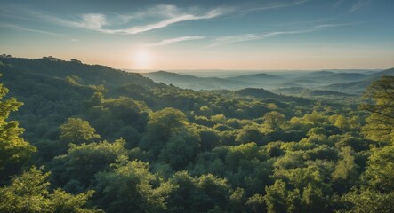 Fototapeta premium Serene Aerial Landscape of Lush Green Forest with Sunlit Horizon and Spacious Area for Text Overlay