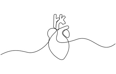 Obraz premium One continuous line drawing of lungs . single line lung concept, Human lungs, drawn with continuous line in minimalism, abstract, respiratory organ, medicine, pulmonology, anatomy, one line.