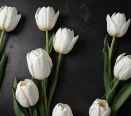 Fototapeta premium White tulips on a dark surface for memorial announcement, remembrance card, grieving, sadness, remember , death notice