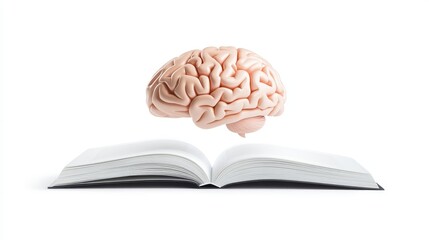Brain Above Open Book Representing Knowledge and Learning Concepts