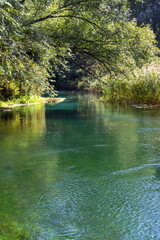 beauty, hiking, picnic, environment, rivershore, cyano, pond, plant, wood, forest, woodland,...