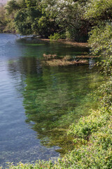 beauty, hiking, picnic, environment, rivershore, cyano, pond, plant, wood, forest, woodland, sulphurous, grass, park, silence, green, reflection, outdoor, background, blue, country, bright, scenic, co