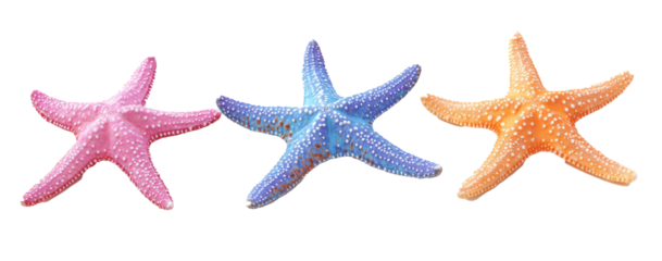 Set of colorful starfish in vivid colors, cut out