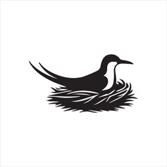 black and white duck nast