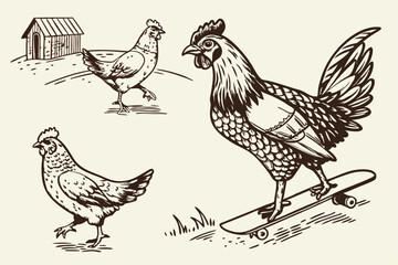 92 Vintage engraved chicken illustrations, quirky farm animals, black and white sketches, whimsical poultry poses, detailed feather textures, humorous bird activities, skateboarding hen, pecking chick