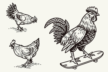 92 Vintage engraved chicken illustrations, quirky farm animals, black and white sketches, whimsical poultry poses, detailed feather textures, humorous bird activities, skateboarding hen, pecking chick